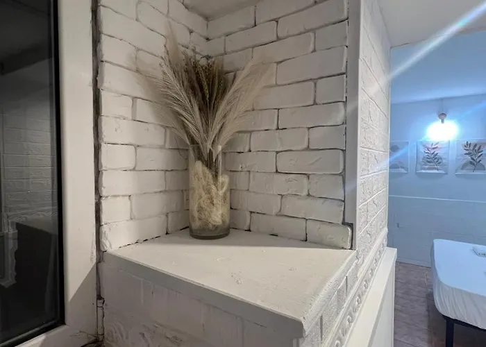 Cupola Vicino Al Vaticano